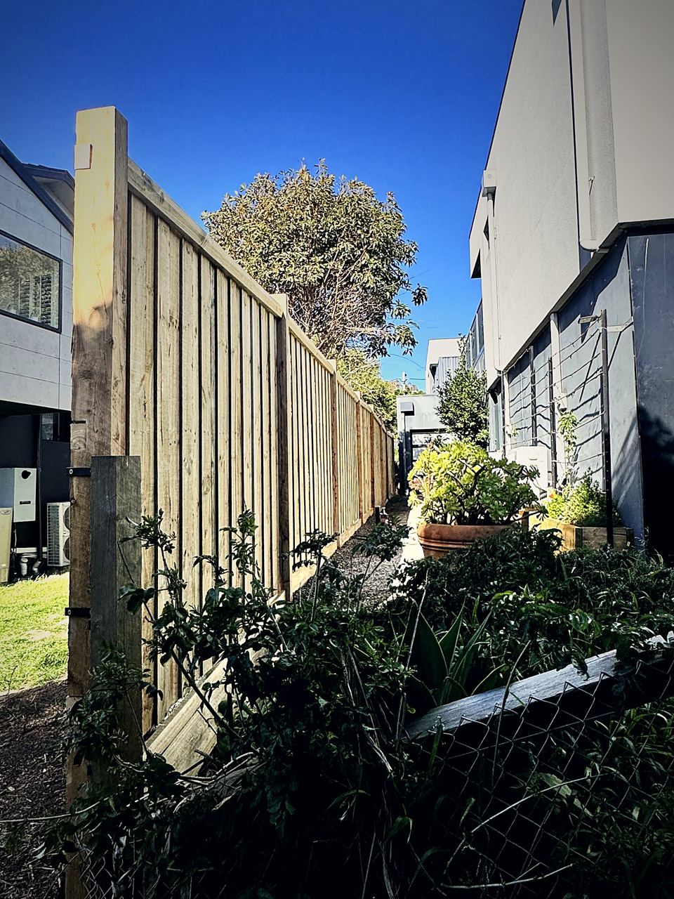 Finished timber paling fence along a side path