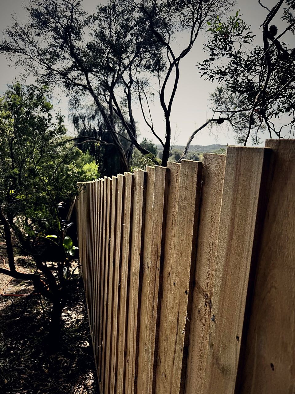 New timber paling fence on a sloping, treed block